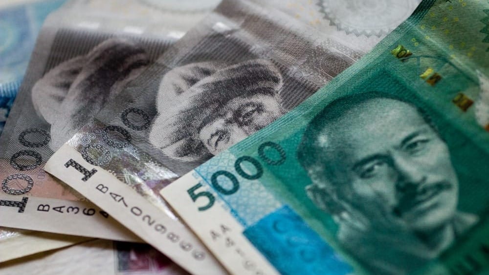 Выплаты ассистентам граждан с инвалидностью в КР превысили 527 млн сомов с начала года