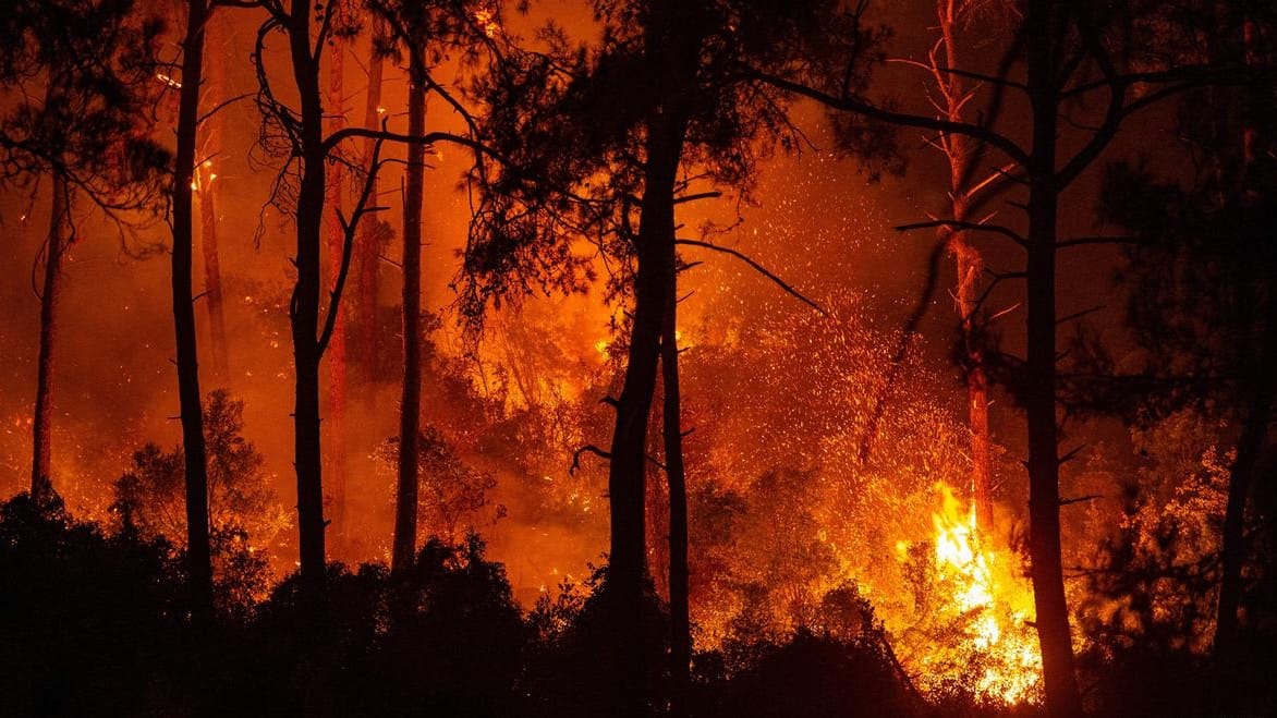 В Кыргызстане за сутки произошло 19 пожаров