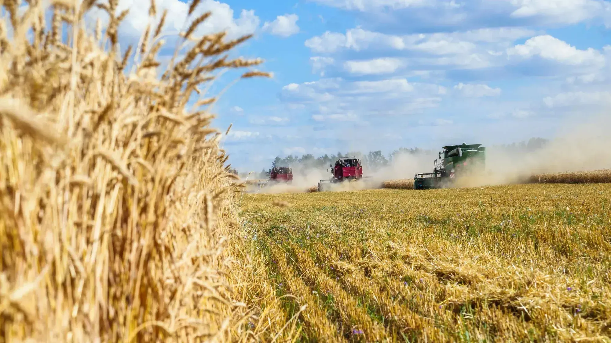 Кыргызстан привлек $49.2 млн на развитие сельского хозяйства в Нарынской области