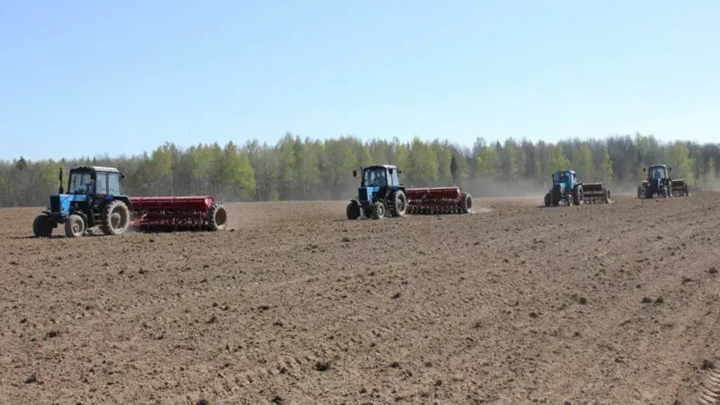 В Кыргызстане весенне-полевые работы завершены на 80.6% – Минсельхоз