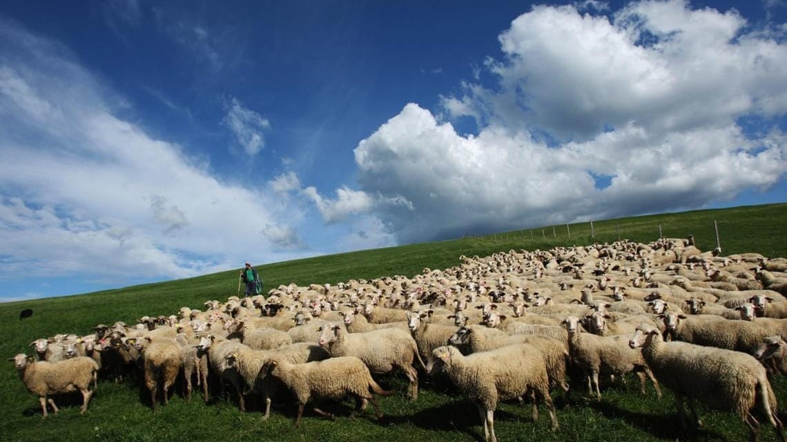 На восстановление деградированных пастбищ в КР выделят 3.5 млрд сомов