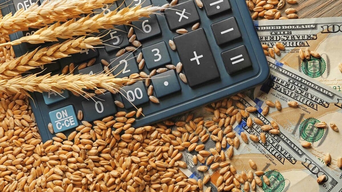 Кыргызстан запросил квоту на экспорт 1 млн тонн сельхозпродукции в Китай