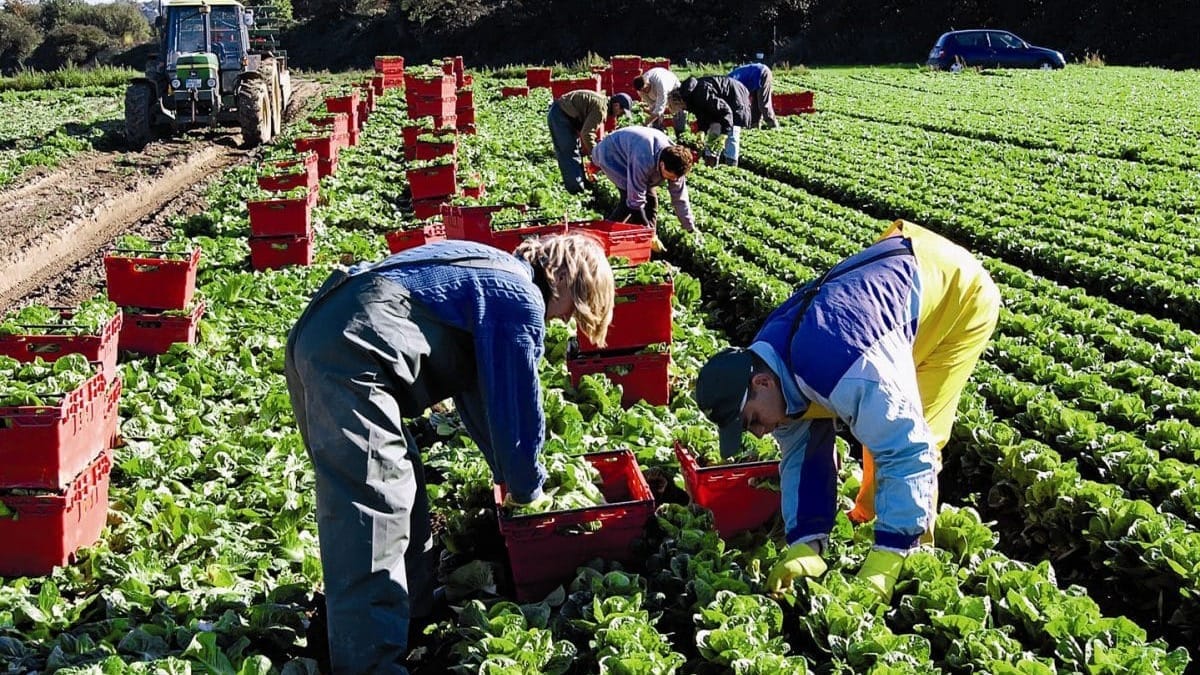 Самым востребованным после России направлением для трудовых мигрантов из КР стала Англия