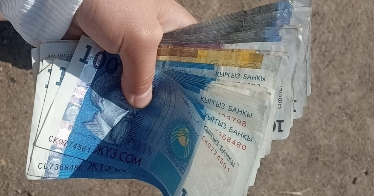 Госструктуры КР заработали за пять месяцев на оказании платных услуг более 10.6 млрд сомов