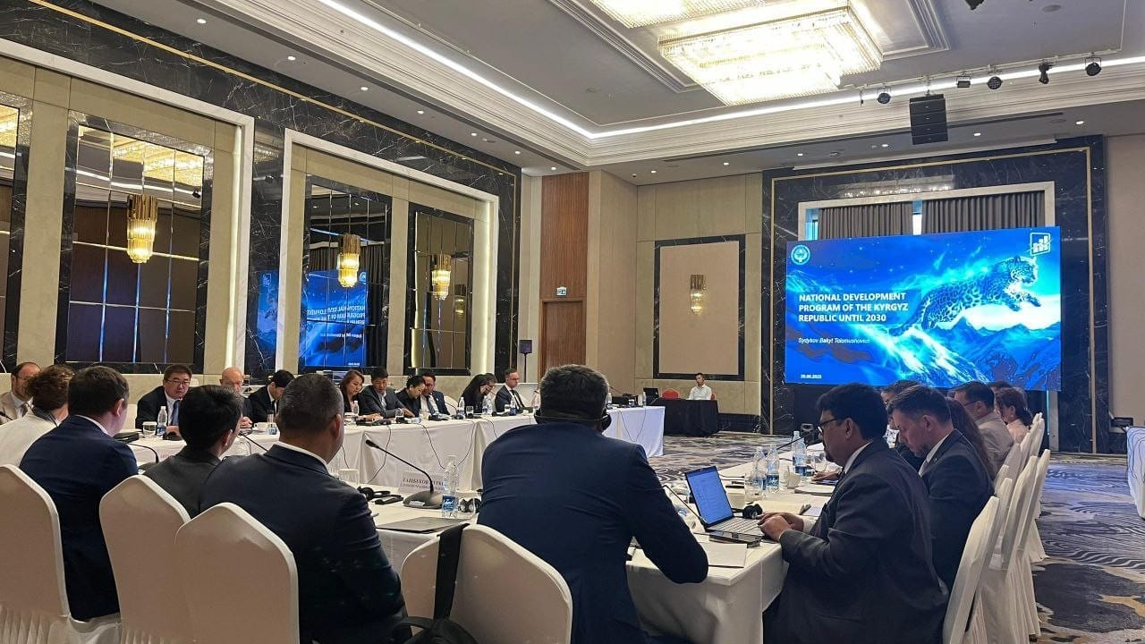 Минэконом представил Нацпрограмму развития КР до 2030 года на заседании DPCC