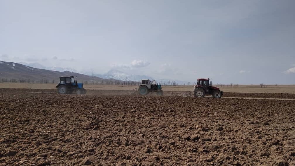 Весенне-полевые работы в КР завершаются — засеяно 93% полей