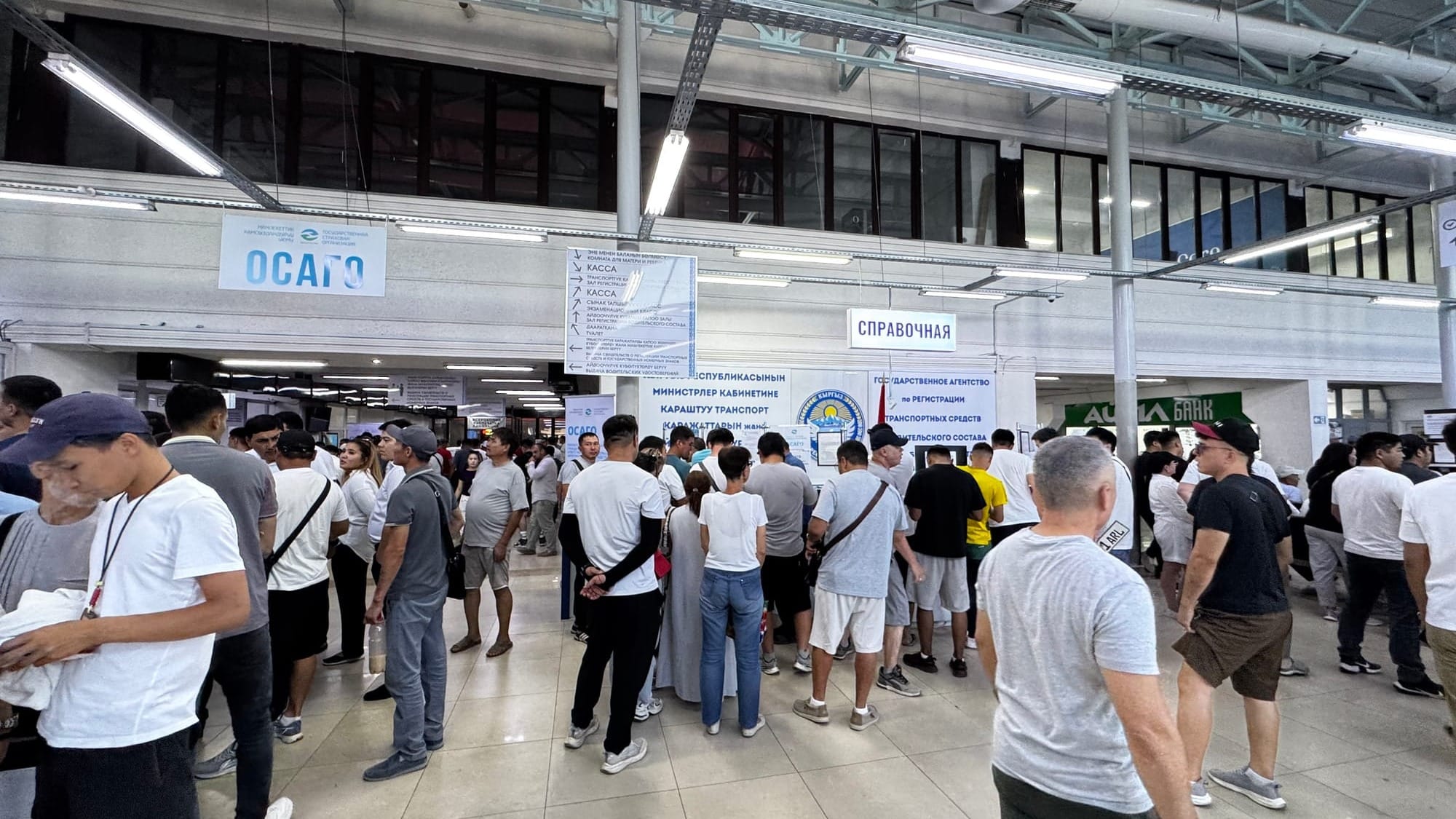 Как оформить ОСАГО через «Тундук» – инструкция от ГУ «Кызмат»