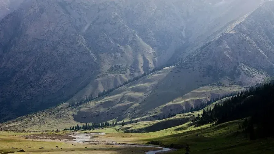 В КР восстановят деградированные земли  — стартовал проект KG RESILAND