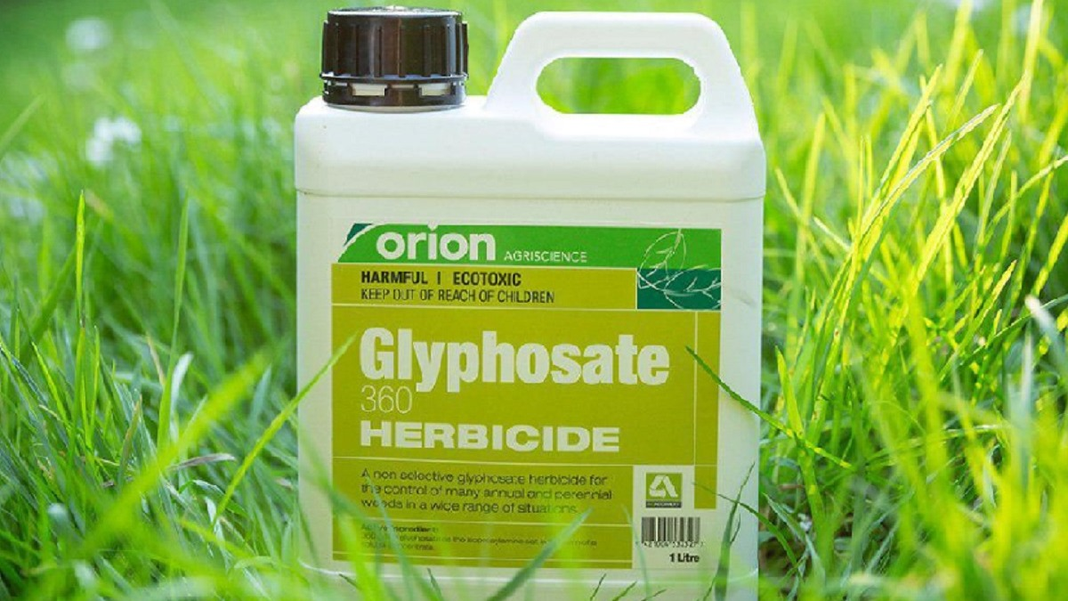 В КР полностью запретили пестициды на основе дихлорида параквата