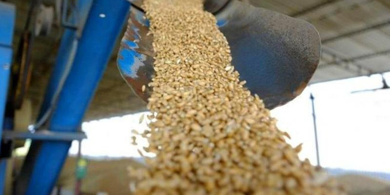 В Иссык-Кульской области обработали зернохранилища и сады для защиты урожая от вредителей