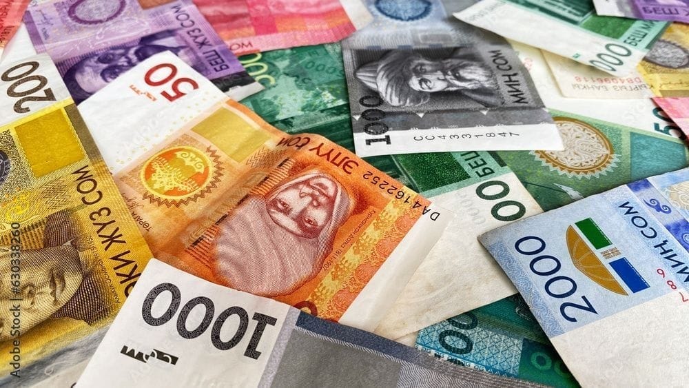 Банки Кыргызстана выдали свыше 8.8 млрд сомов в виде возвратной финансовой помощи