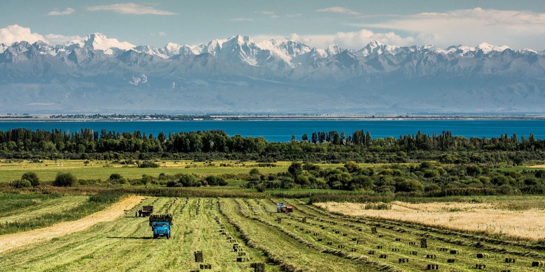 В Кыргызстане создали цифровую платформу для аренды сельхозземель – agrojer.kg