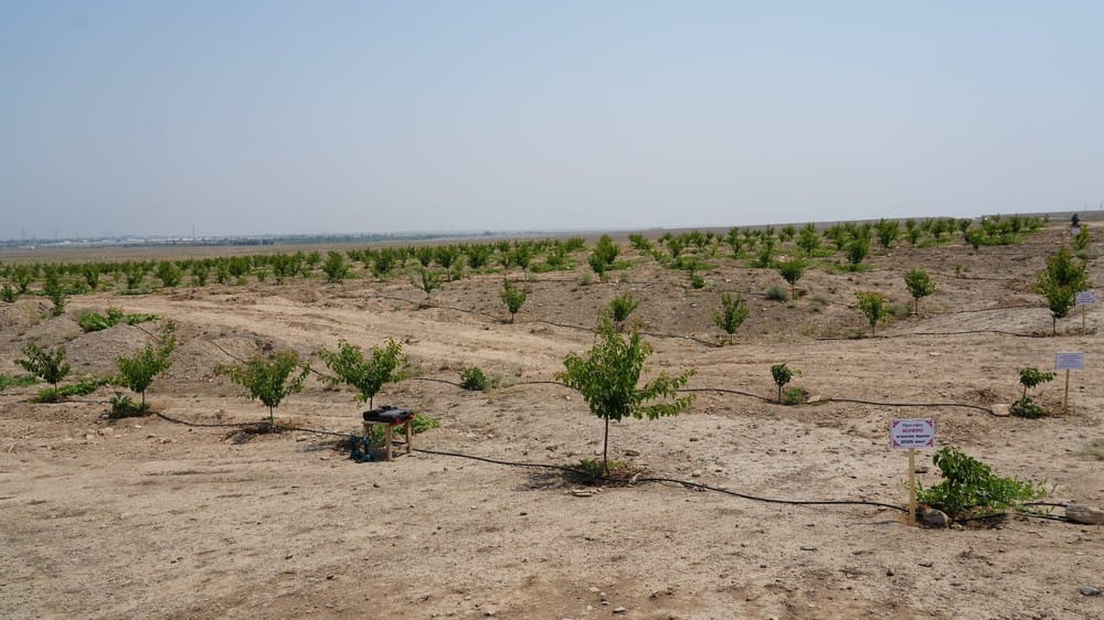 Минсельхоз начал консультации по освоению малопродуктивных земель – куда обращаться