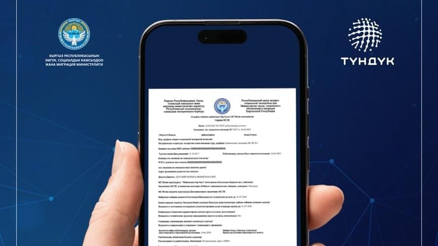 Справки по инвалидности теперь оформляются в Tunduk – Минтруд упростил процедуру