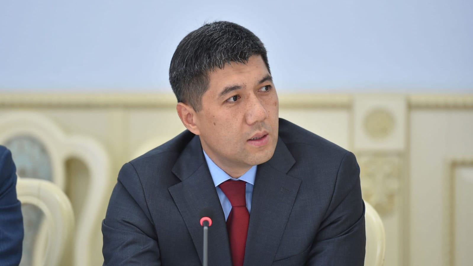Глава Нацбанка Мелис Тургунбаев получил выговор от президента