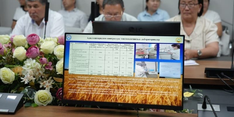 Экспорт подкарантинной продукции из КР за полгода сократился вдвое — Минсельхоз