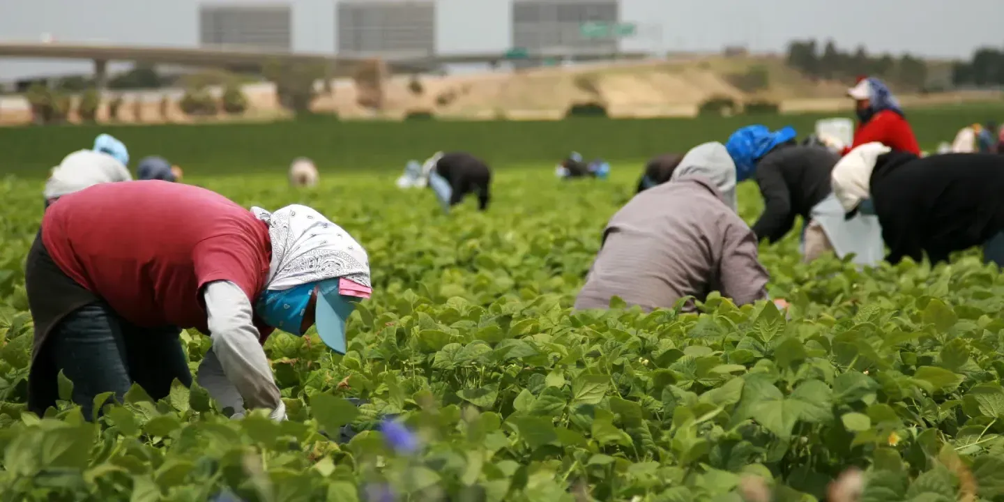 Участились аферы с «легкой работой» за границей – Центр трудоустройства