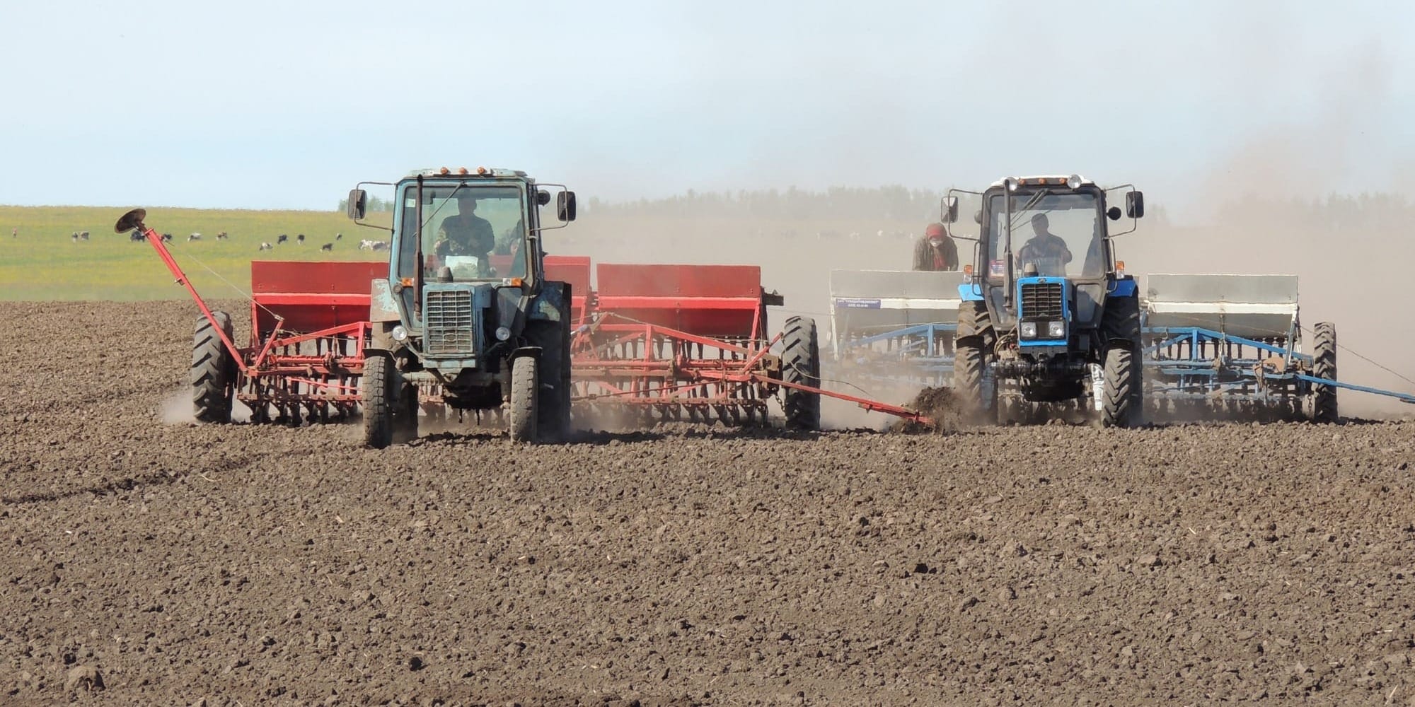 В Кыргызстане засеяли 63 тысячи тонн семян зерновых культур