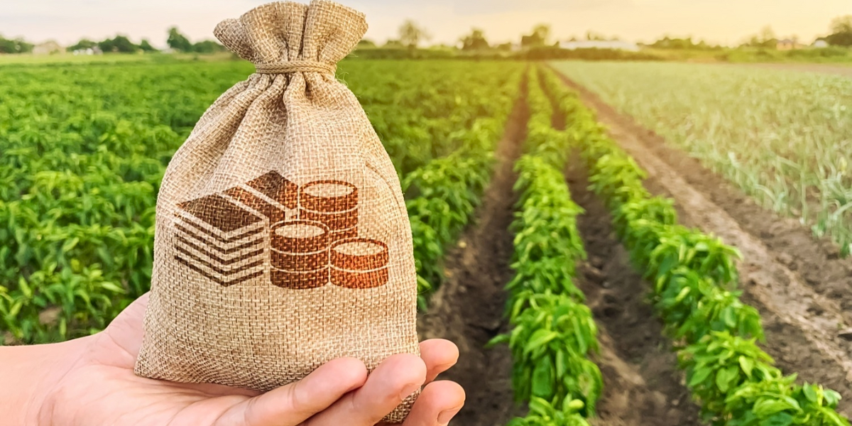 По проекту «ФСХ-13» выдали почти 6 тысяч агрокредитов на 3.7 млрд сомов