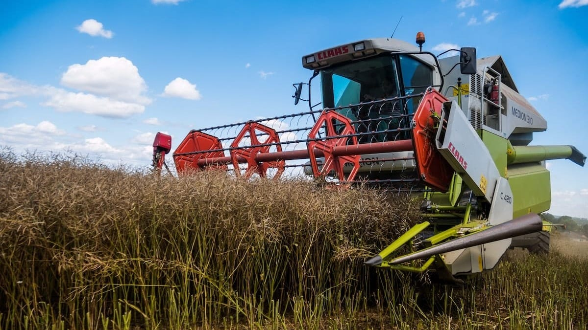 В I полугодии 2025 года валовое производство сельхозпродукции в КР составило 117.6 млрд сомов