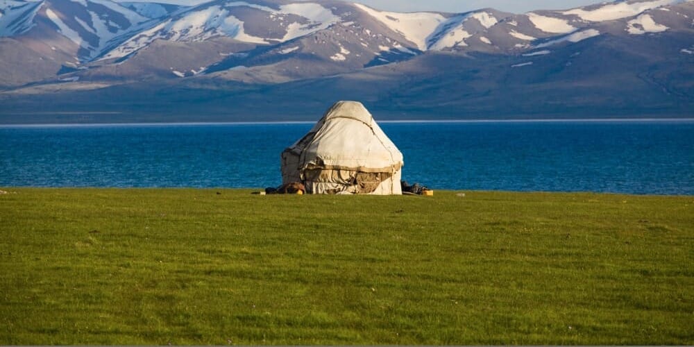 В КР для восстановления пастбищ засеют более 173 тонны семян трав