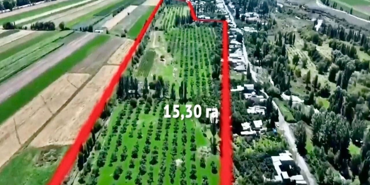 Более 35 га земель бывшего Балыкчинского плодсовхозкомбината вернули государству