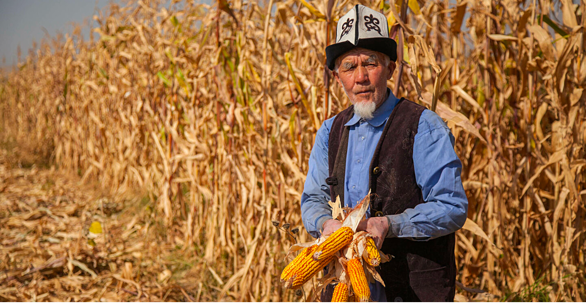 По проекту «ФСХ-13» выдано более 6.3 тысячи кредитов на 4 млрд сомов