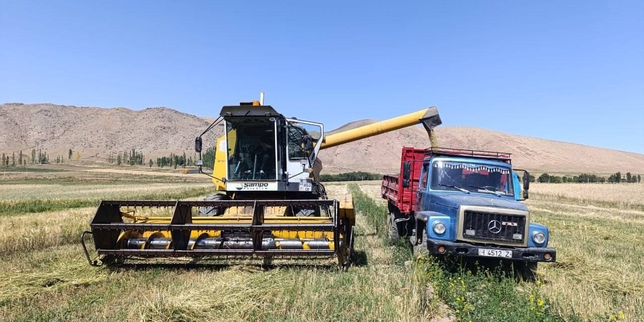 В Тонском районе убрано 30% посевных площадей