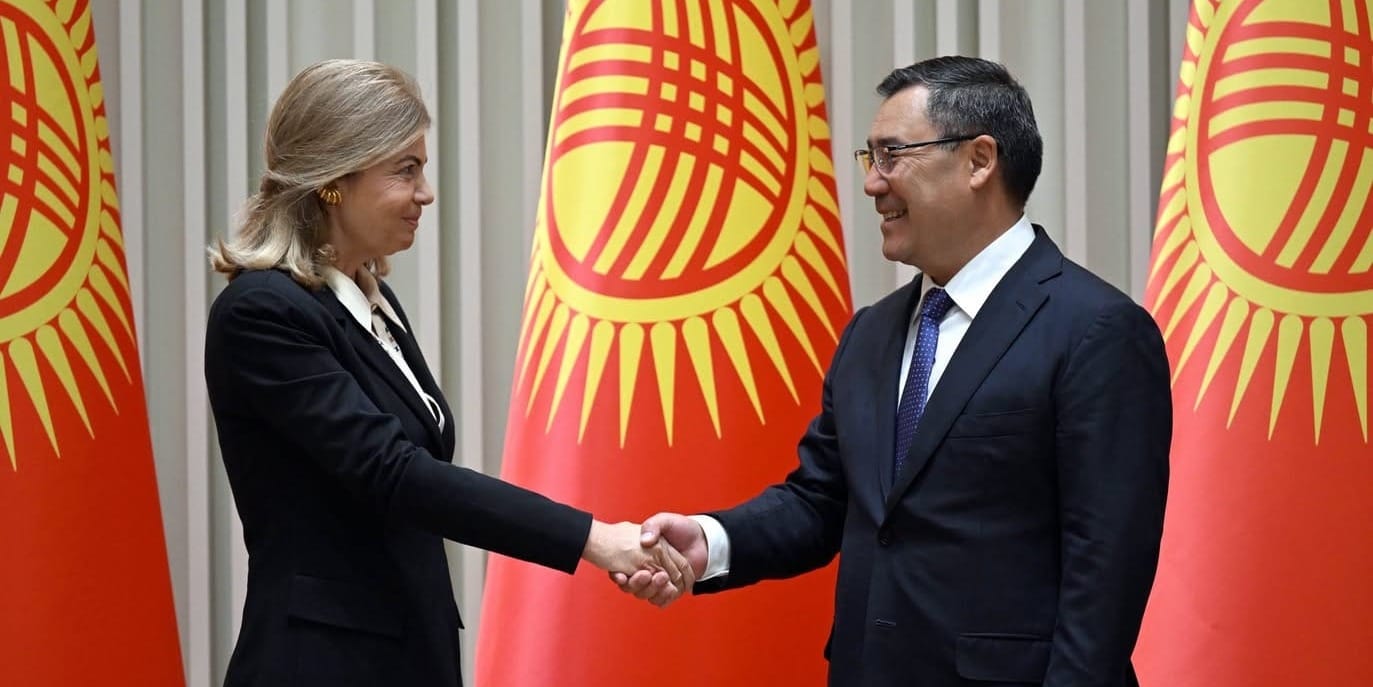 Садыр Жапаров обсудил с Rothschild & Co инвестиции и перспективы сотрудничества