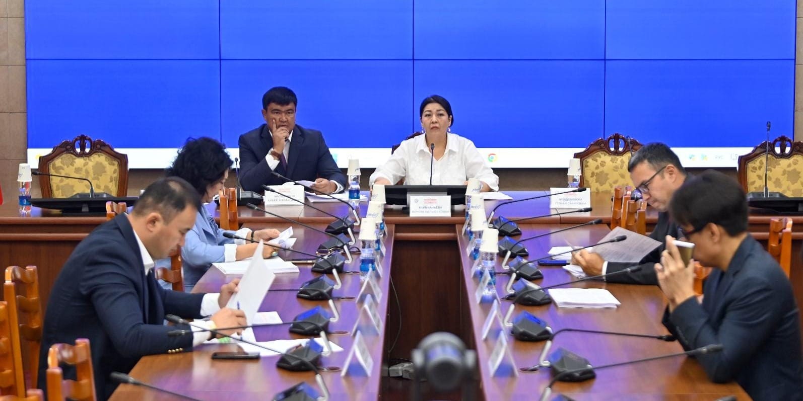 Заседание профильного комитета ЖК. Фото: пресс-служба Жогорку Кенеша.