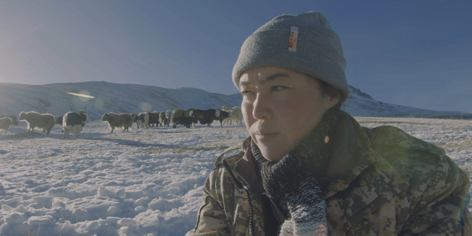 Документальный фильм из Кыргызстана о женщине-фермере получил премию фестиваля «Агрофильм»