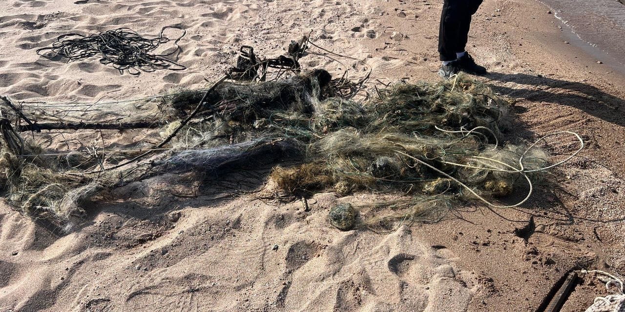 Экотехнадзор пресек незаконный лов на Иссык-Куле — изъято 500 метров сетей