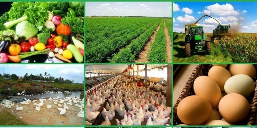 АБР выделил $52.4 млн на развитие устойчивого сельского хозяйства в Кыргызстане