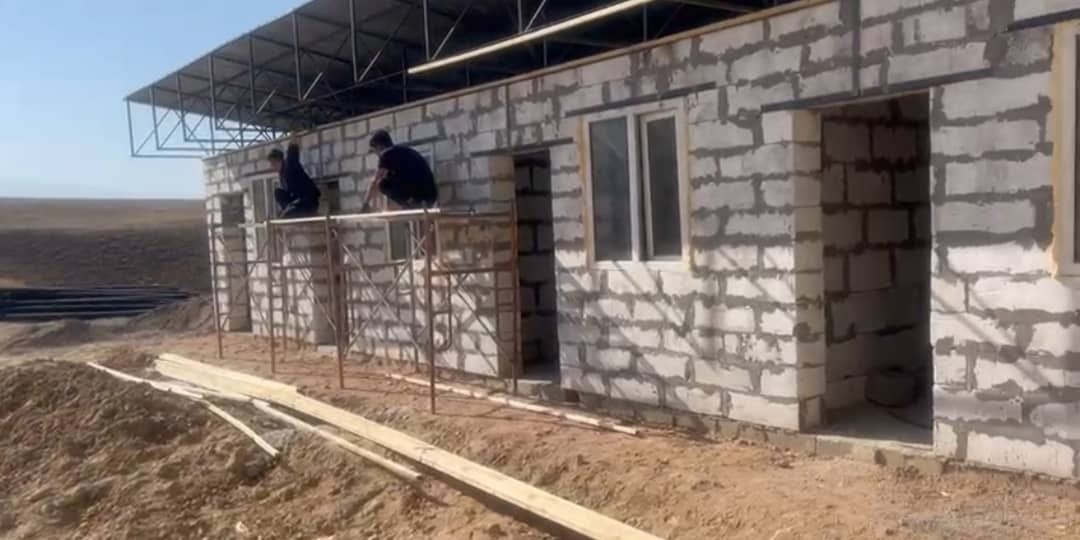 В Токтогуле строят убойный пункт на 40 голов скота в сутки