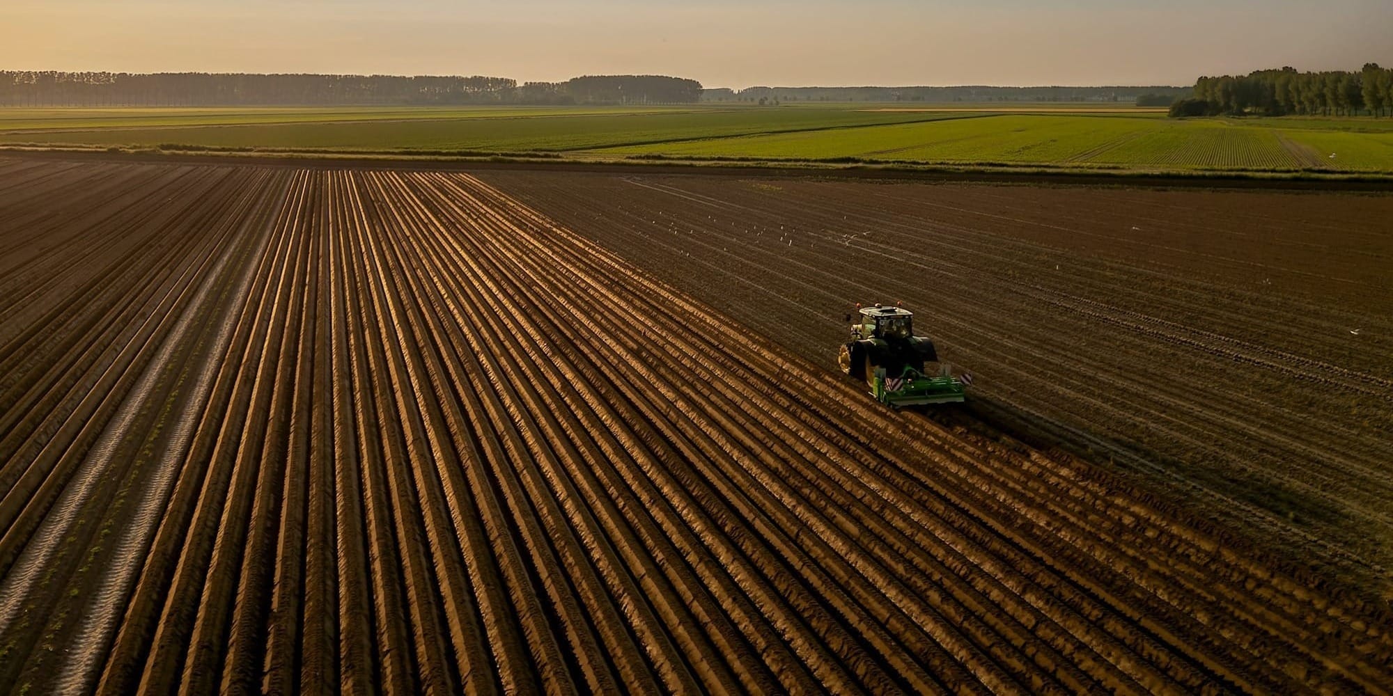 Где провести анализ почвы перед посевом — адреса лабораторий Минсельхоза
