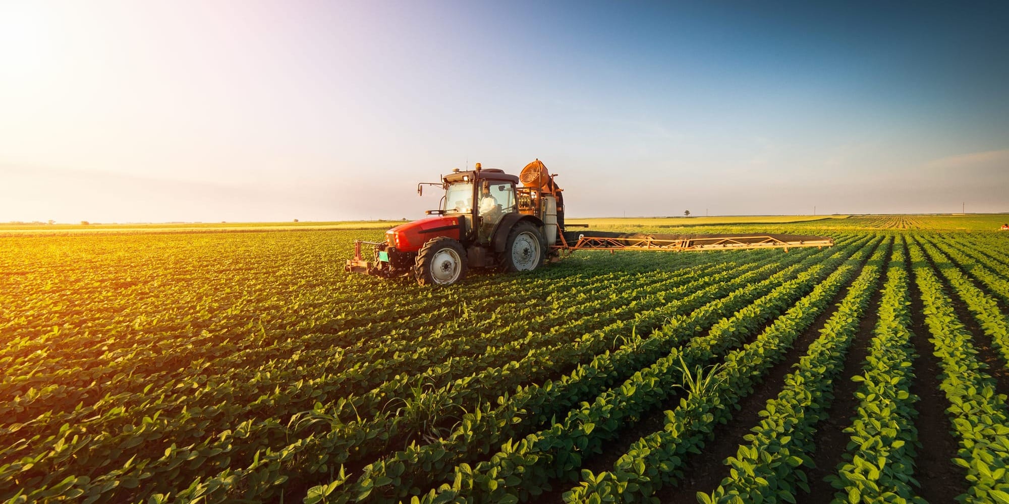 Итоги ФСХ-13: фермеры Кыргызстана получили льготные кредиты на 4.1 млрд сомов