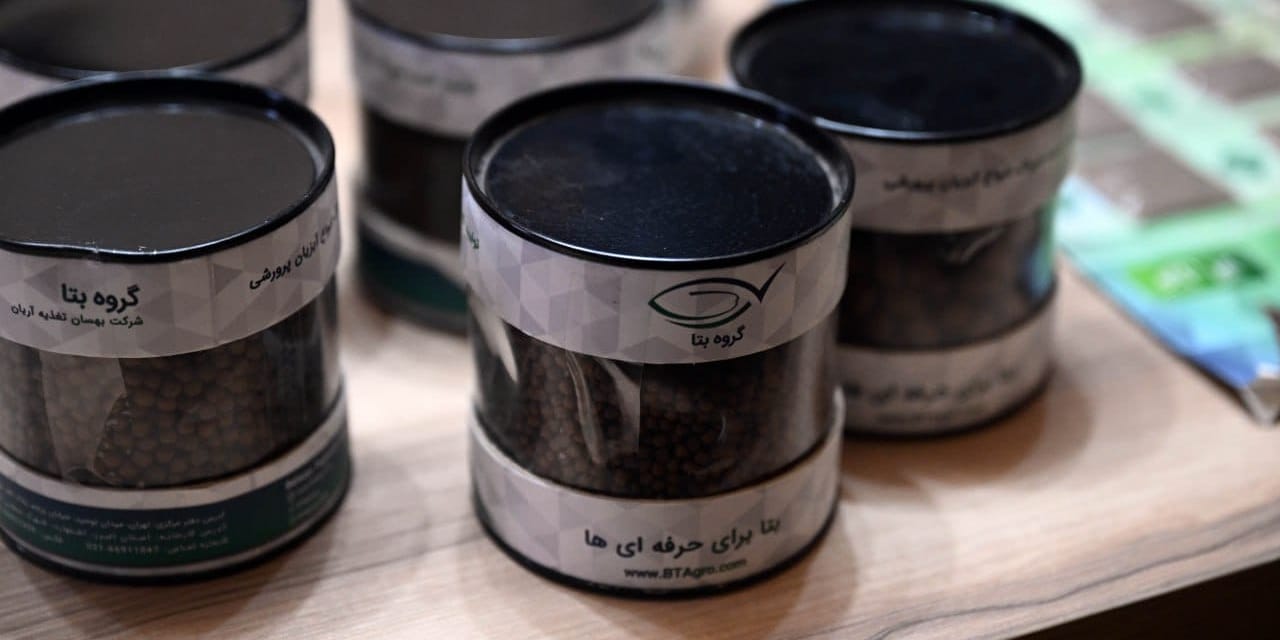 В Чуйской области открыли завод рыбных кормов — инвестиции составили $5 млн