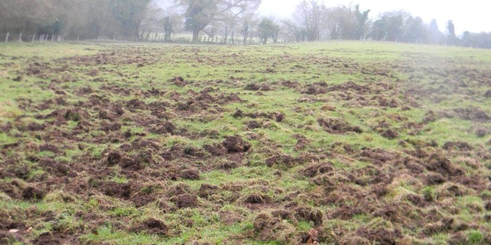 Штраф до 8.5 млн сомов: в Минсельхозе предупредили об ответственности за порчу земель