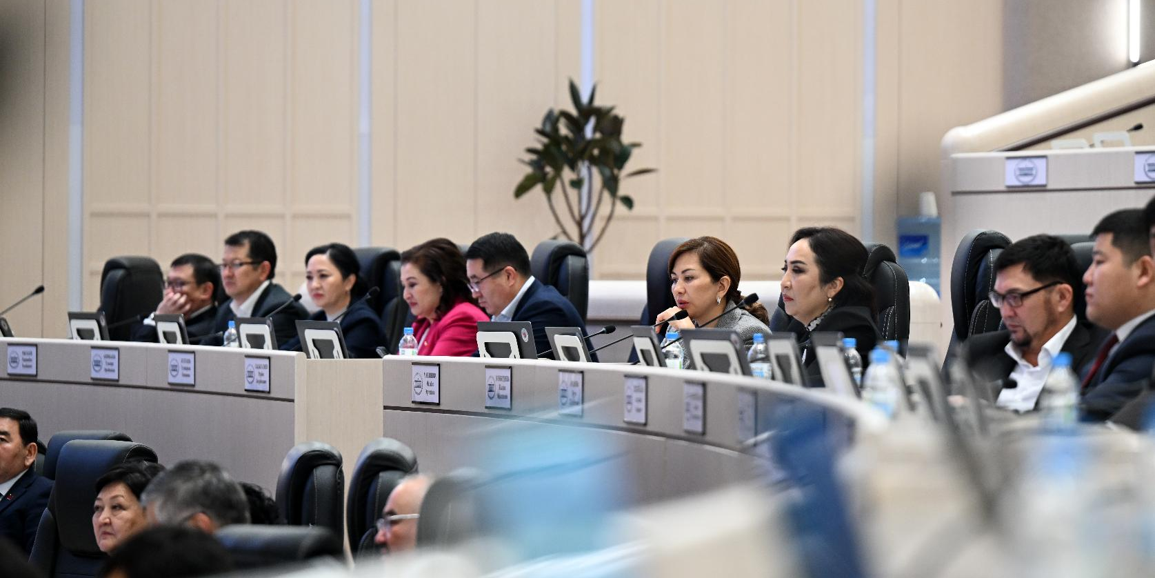 ЖК одобрил во втором чтении кредит ОПЕК на $30 млн для бюджетной поддержки