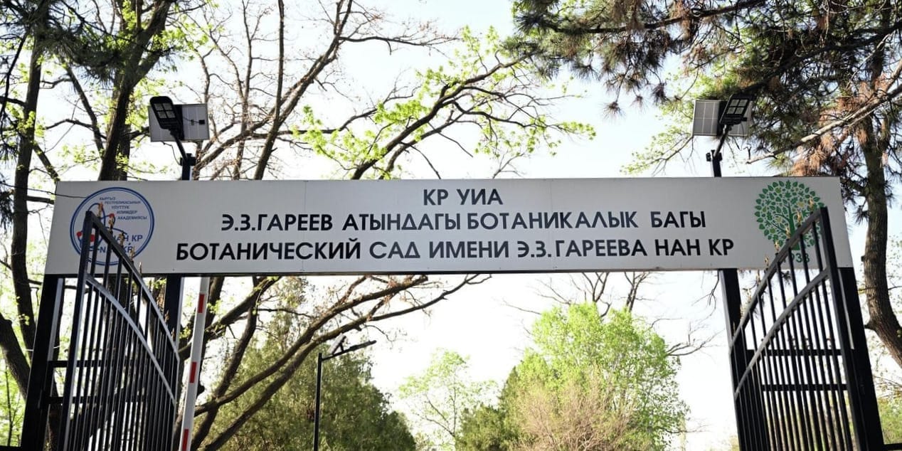 Угроза экологии: Дастан Бекешев требует отменить строительство футбольного поля в Ботсаду