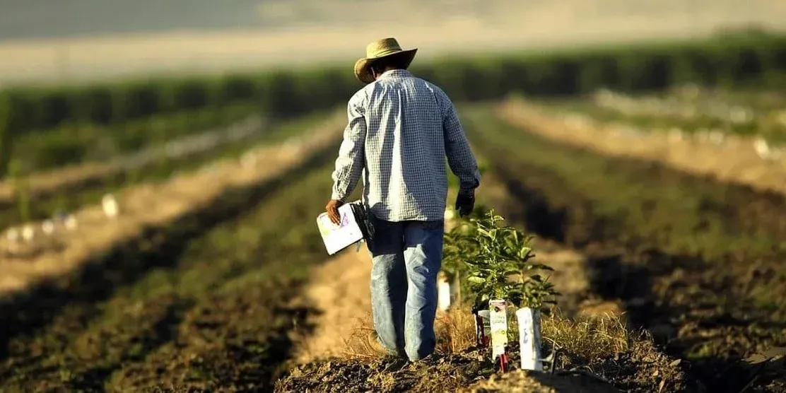 Минсельхоз отчитался о поддержке аграриев за 11 месяцев 2025 года