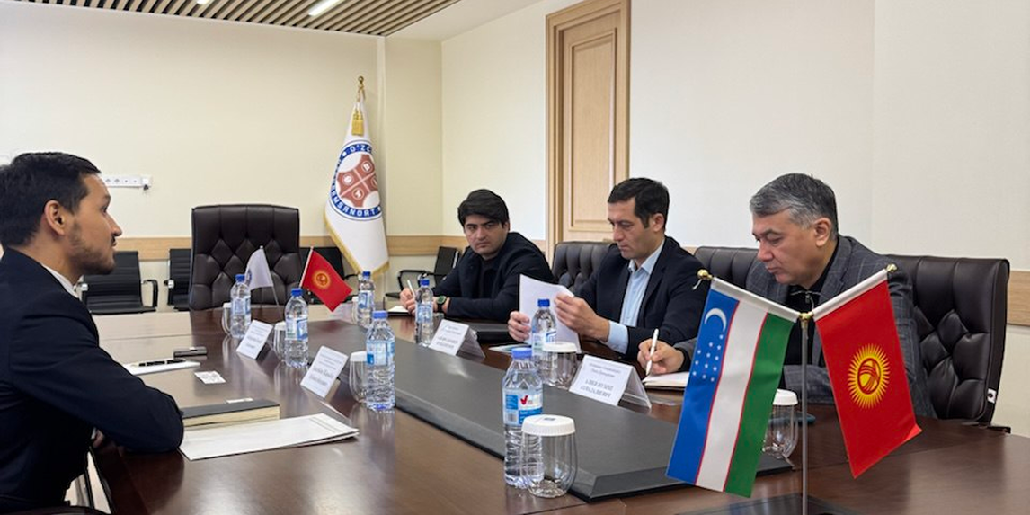 Кыргызстан собирается поставлять кожевенное сырье в Узбекистан