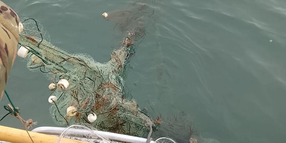 На Иссык-Куле инспекторы изъяли 400 метров браконьерских сетей