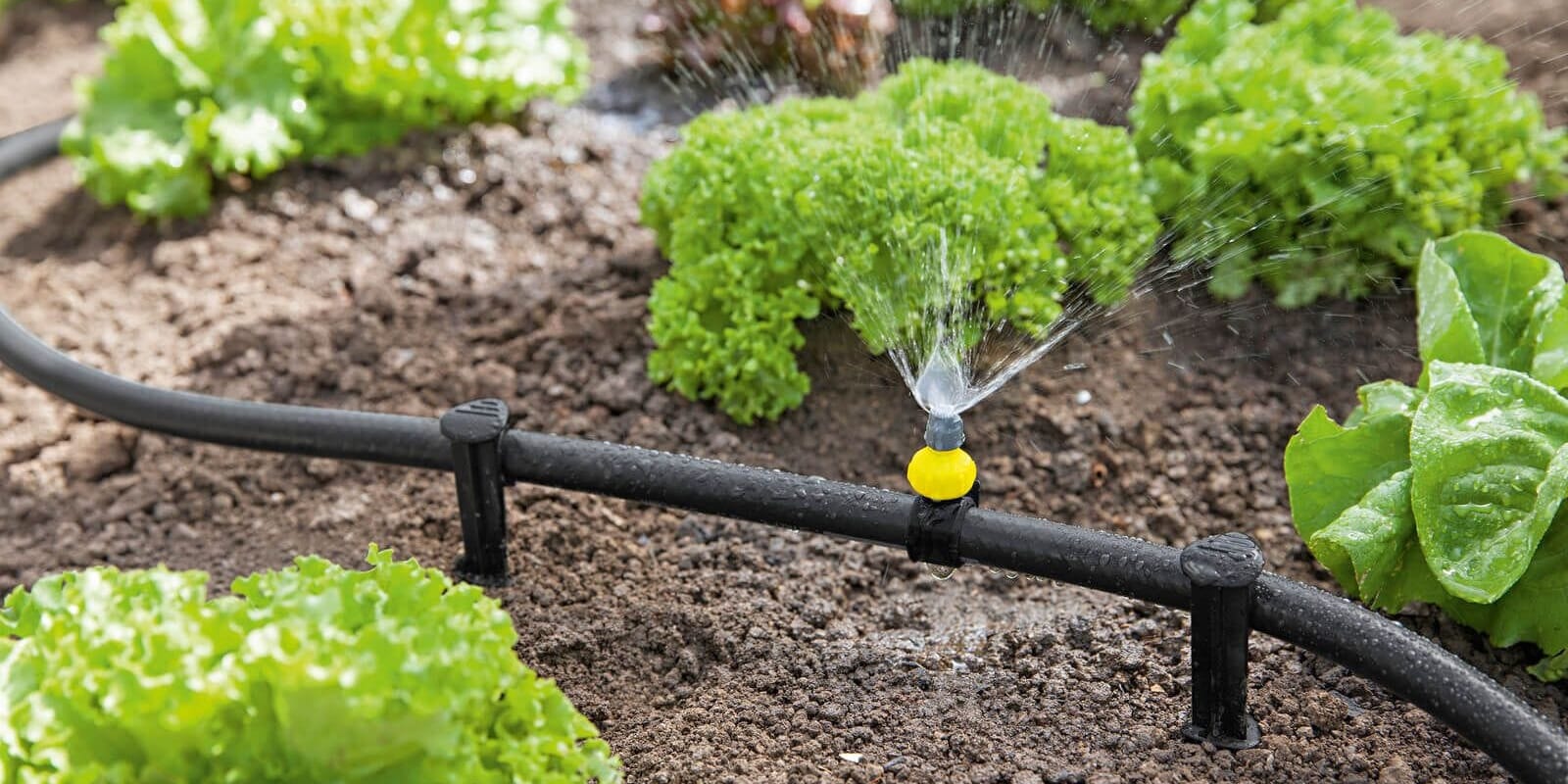 Минсельхоз предупредил фермеров о дефиците воды в 2026 году и призвал к экономии