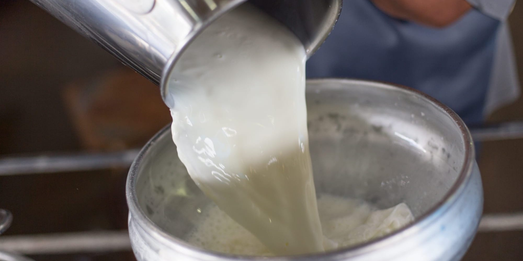 Фермеры Кыргызстана просят власти поднять закупочную цену на молоко до 45 сомов