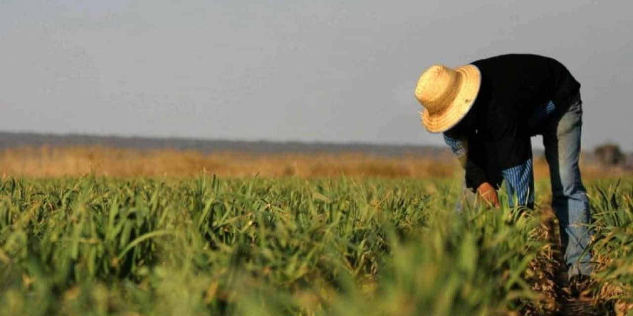 В Кыргызстане упростили выдачу госсубсидий фермерам