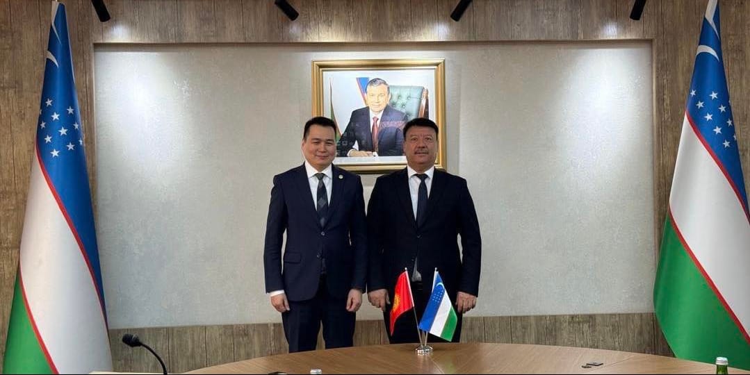 Бишкек и Ташкент согласовали новые приоритеты в гражданской авиации