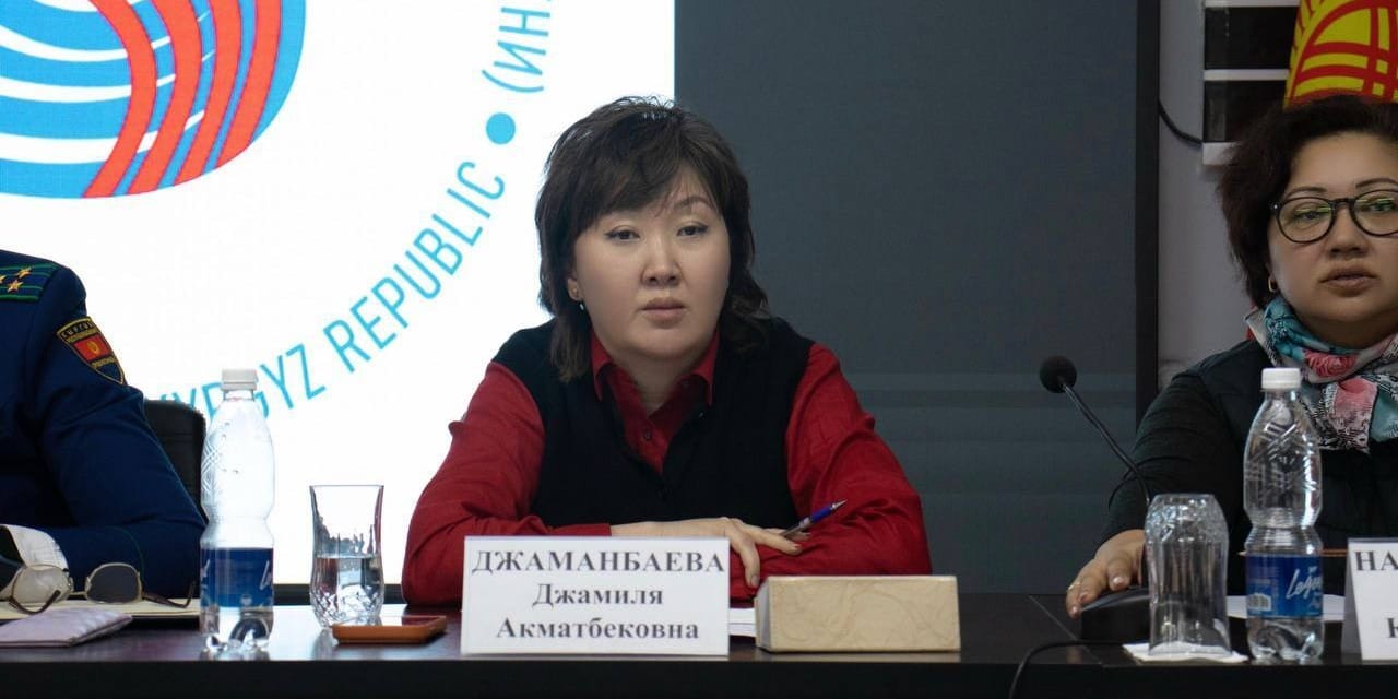 Ат-Башинский район КР просит статус приграничной зоны — омбудсмен