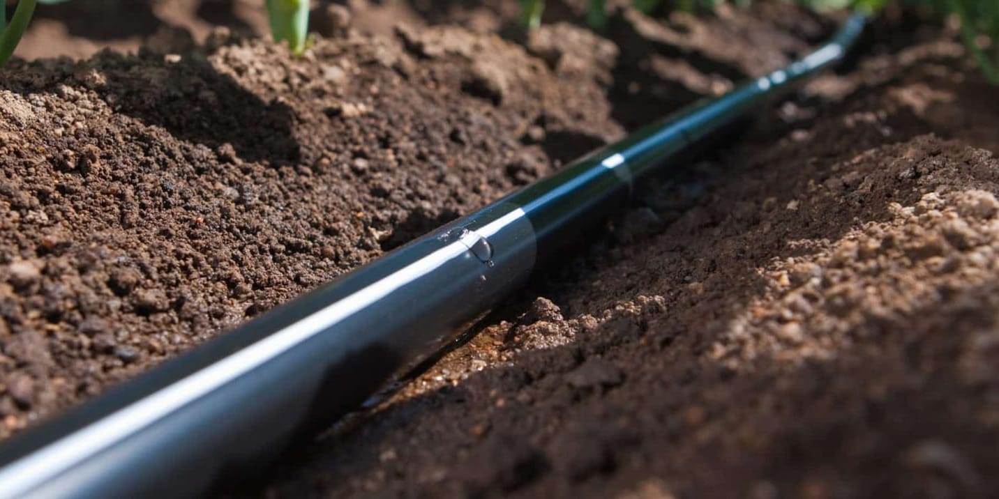 Балыкчинский лесхоз потратит 39 млн сомов на систему капельного орошения