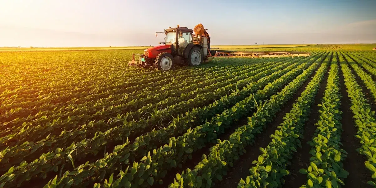 Кабмин выделил 2.4 млрд сомов на проект «ФСХ-14»